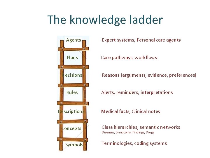 The knowledge ladder Agents Expert systems, Personal care agents Plans Care pathways, workflows Decisions