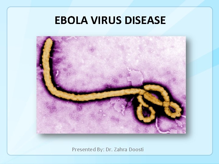 EBOLA VIRUS DISEASE Presented By: Dr. Zahra Doosti 