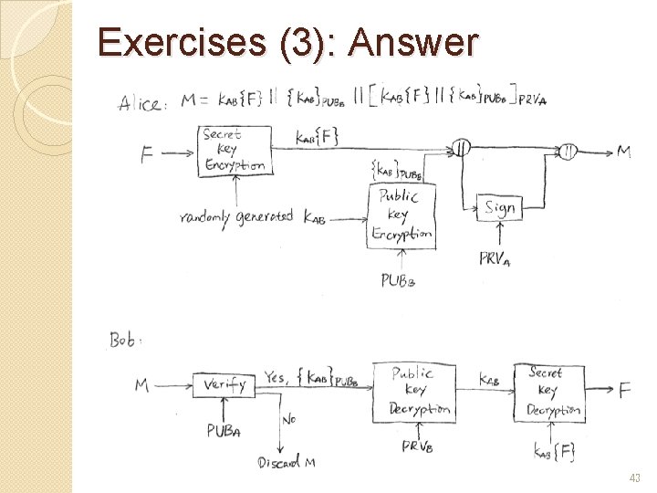 Exercises (3): Answer 43 Exercises (3): Answer 43