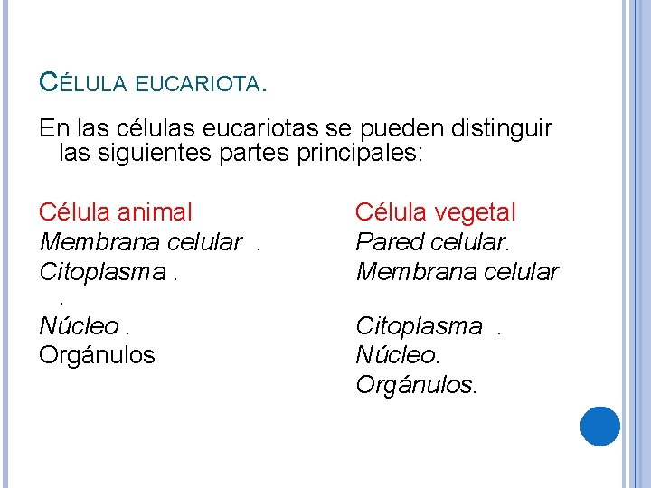 CÉLULA EUCARIOTA. En las células eucariotas se pueden distinguir las siguientes partes principales: Célula