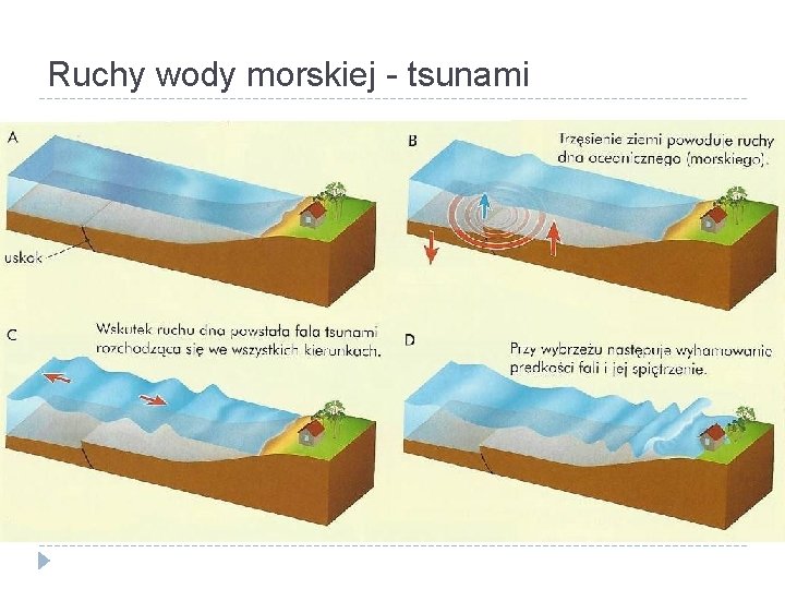 Ruchy wody morskiej - tsunami 