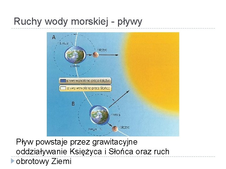 Ruchy wody morskiej - pływy Pływ powstaje przez grawitacyjne oddziaływanie Księżyca i Słońca oraz