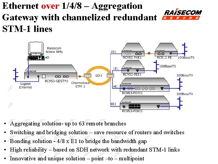 Innovative and Unique Solution for EOE RAISECOM Ethernet