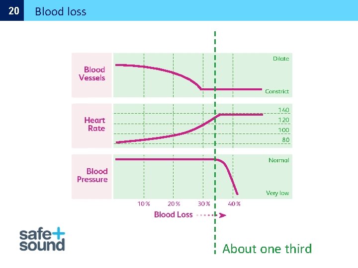 20 Blood loss About one third 