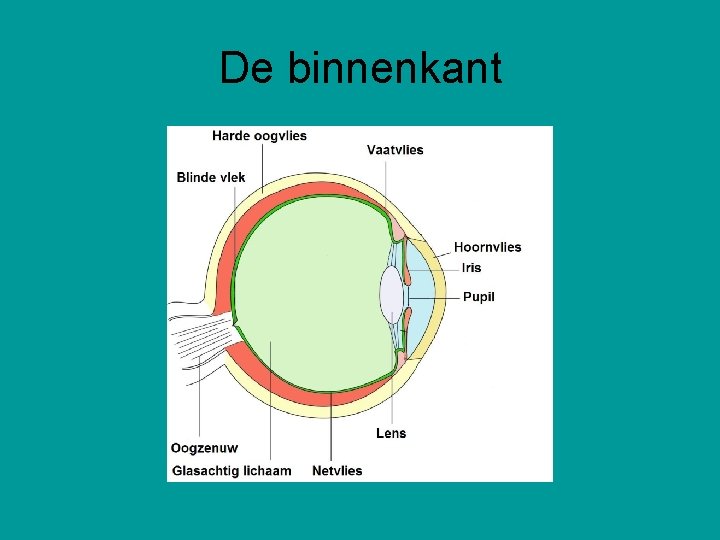 De binnenkant 