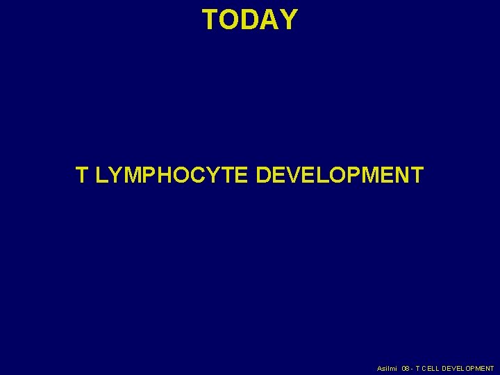 TODAY T LYMPHOCYTE DEVELOPMENT Asilmi 08 - T CELL DEVELOPMENT TODAY T LYMPHOCYTE DEVELOPMENT Asilmi 08 - T CELL DEVELOPMENT