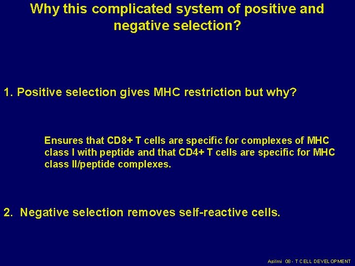 Why this complicated system of positive and negative selection? 1. Positive selection gives MHC Why this complicated system of positive and negative selection? 1. Positive selection gives MHC