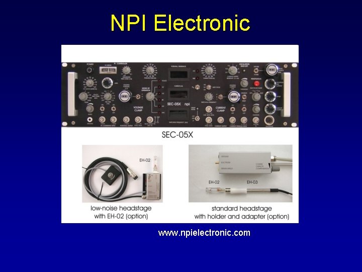NPI Electronic www. npielectronic. com 