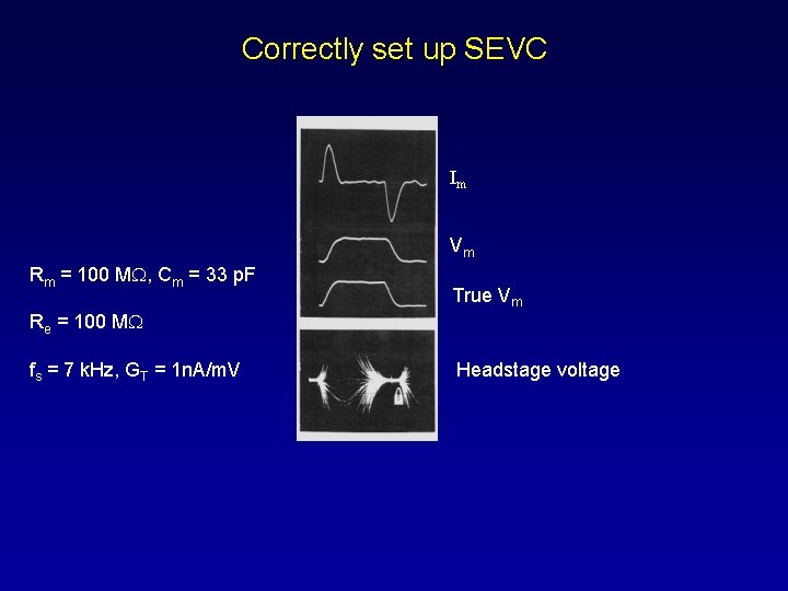 Correctly set up SEVC Im Vm Rm = 100 M , Cm = 33
