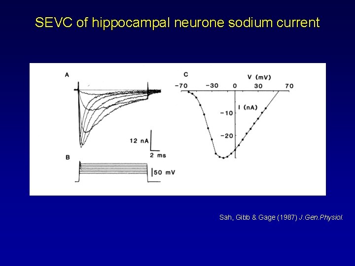 SEVC of hippocampal neurone sodium current Sah, Gibb & Gage (1987) J. Gen. Physiol.