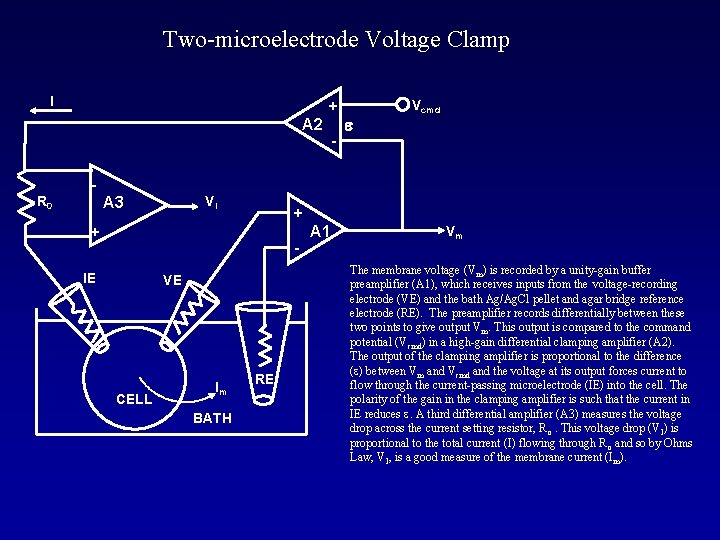 Two-microelectrode Voltage Clamp I + A 2 - e Vcmd R 0 VI A