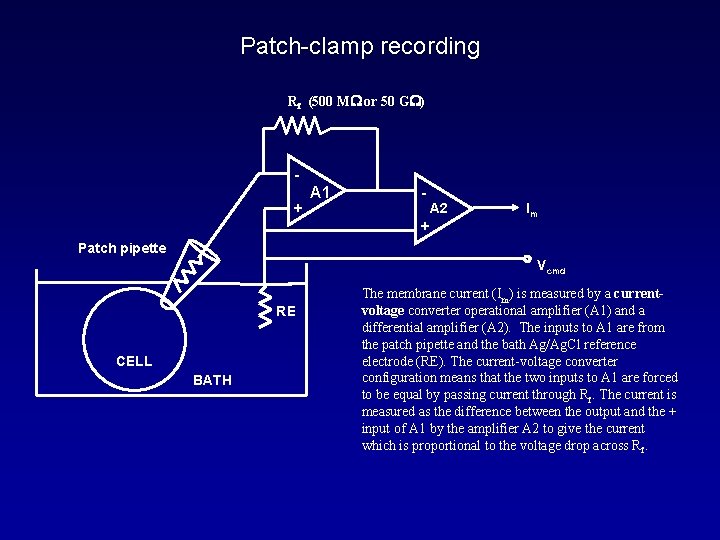 Patch-clamp recording Rf (500 MW or 50 GW) + A 1 - A 2