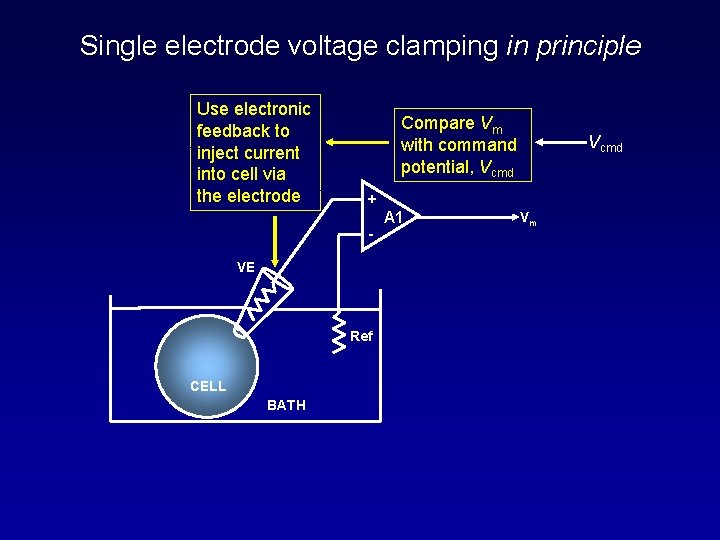 Single electrode voltage clamping in principle Use electronic feedback to inject current into cell
