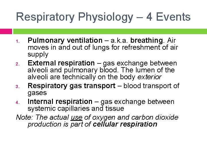 Respiratory Physiology – 4 Events Pulmonary ventilation – a. k. a. breathing. Air moves