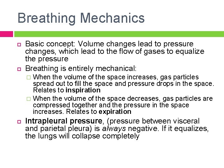 Breathing Mechanics Basic concept: Volume changes lead to pressure changes, which lead to the