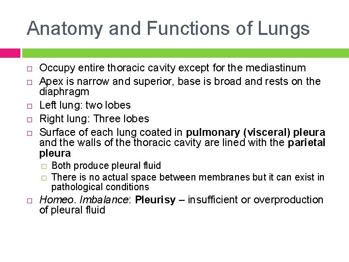 Anatomy and Functions of Lungs Occupy entire thoracic cavity except for the mediastinum Apex