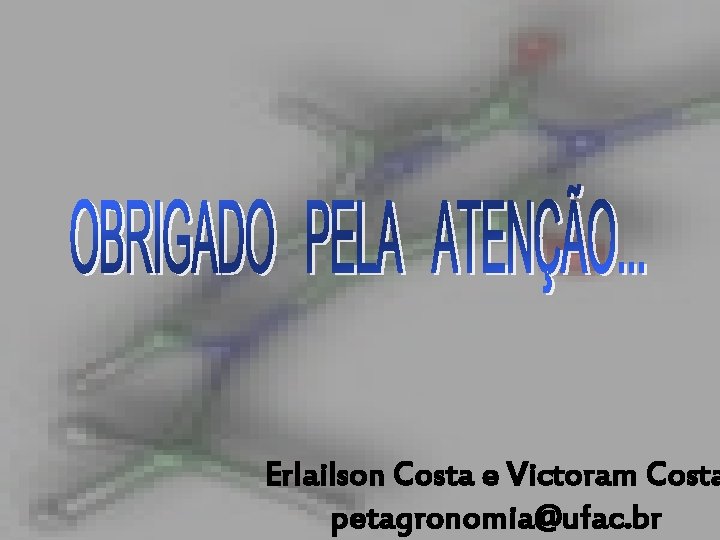 Funções Inorgânicas Erlailson Costa e Victoram Costa petagronomia@ufac. br COSTA, V; COSTA, E. 2006
