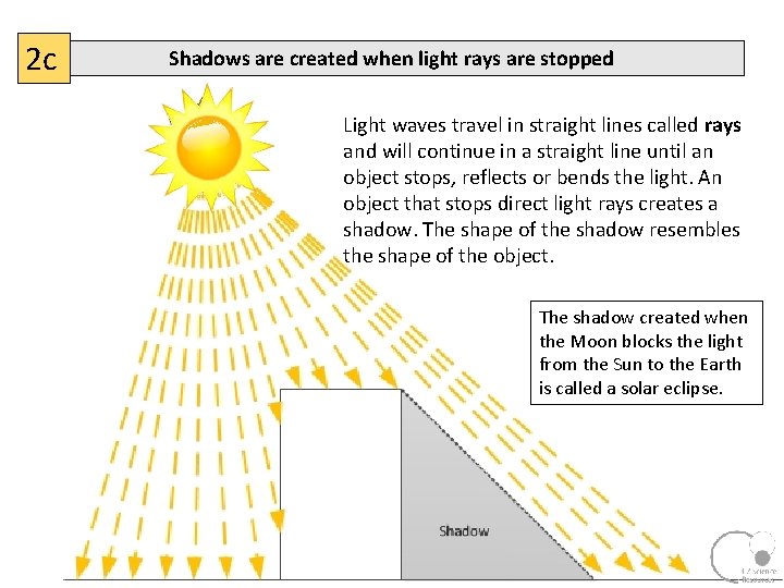 2 c Shadows are created when light rays are stopped Light waves travel in
