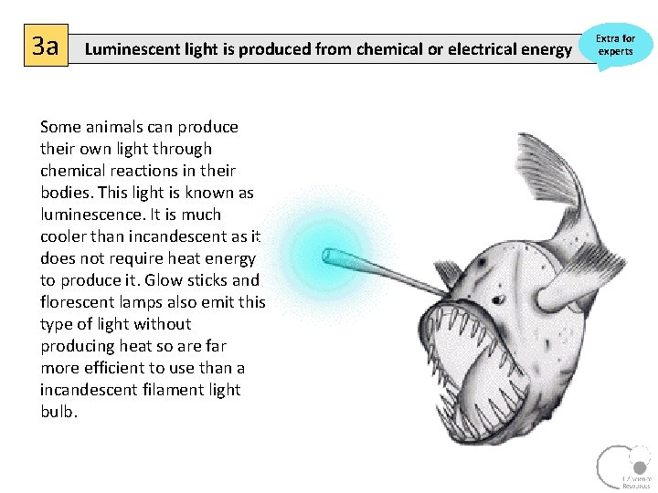 3 a Luminescent light is produced from chemical or electrical energy Some animals can