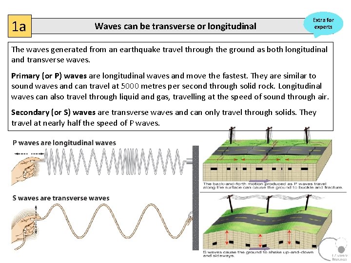 1 a Waves can be transverse or longitudinal Extra for experts The waves generated