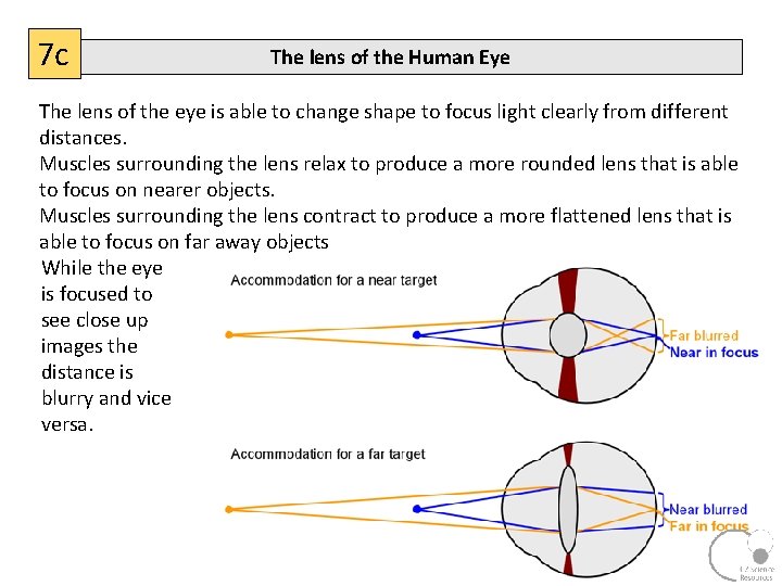 7 c The lens of the Human Eye The lens of the eye is
