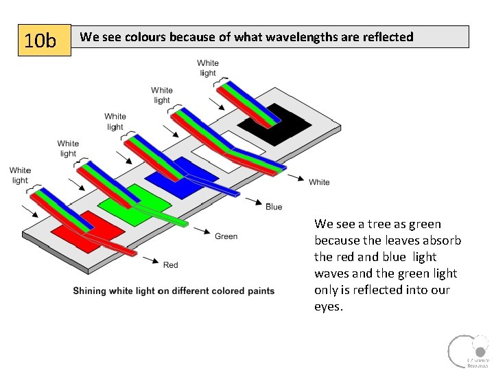 10 b We see colours because of what wavelengths are reflected We see a