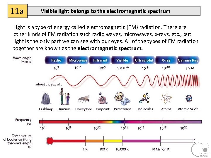 11 a Visible light belongs to the electromagnetic spectrum Light is a type of