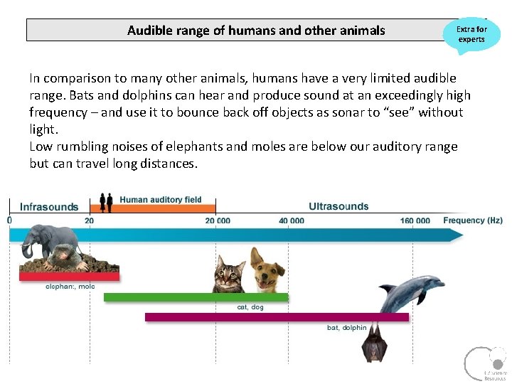 Audible range of humans and other animals Extra for experts In comparison to many