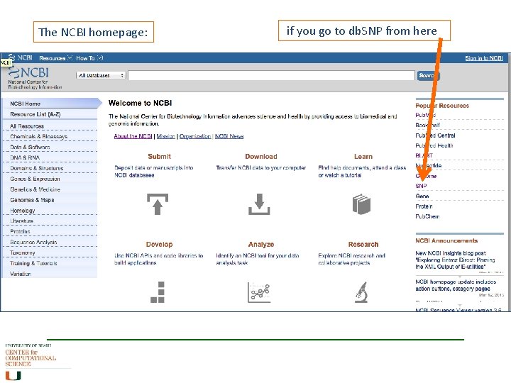 The NCBI homepage: if you go to db. SNP from here 