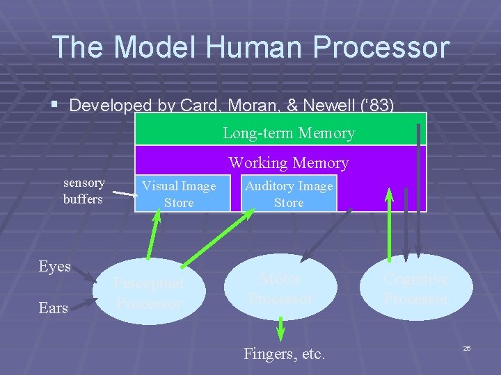 The Model Human Processor § Developed by Card, Moran, & Newell (‘ 83) Long-term The Model Human Processor § Developed by Card, Moran, & Newell (‘ 83) Long-term