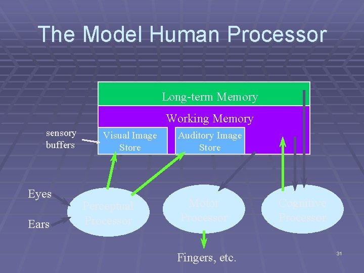 The Model Human Processor Long-term Memory Working Memory sensory buffers Eyes Ears Visual Image The Model Human Processor Long-term Memory Working Memory sensory buffers Eyes Ears Visual Image