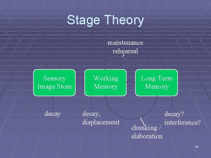 Stage Theory maintenance rehearsal Sensory Image Store decay Working Memory decay, displacement Long Term Stage Theory maintenance rehearsal Sensory Image Store decay Working Memory decay, displacement Long Term