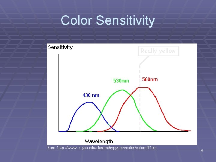 Color Sensitivity Really yellow from: http: //www. cs. gsu. edu/classes/hypgraph/coloreff. htm 9 Color Sensitivity Really yellow from: http: //www. cs. gsu. edu/classes/hypgraph/coloreff. htm 9