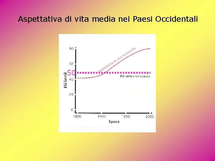 Aspettativa di vita media nei Paesi Occidentali 50 Aspettativa di vita media nei Paesi Occidentali 50