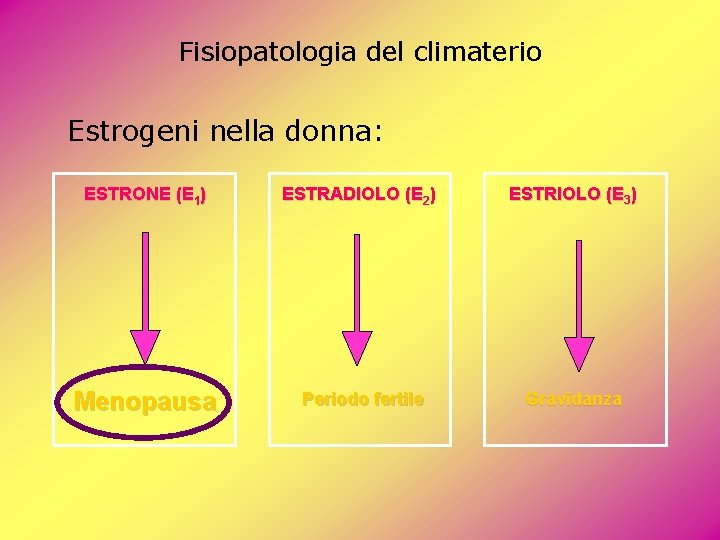 Fisiopatologia del climaterio Estrogeni nella donna: ESTRONE (E 1) ESTRADIOLO (E 2) ESTRIOLO (E Fisiopatologia del climaterio Estrogeni nella donna: ESTRONE (E 1) ESTRADIOLO (E 2) ESTRIOLO (E