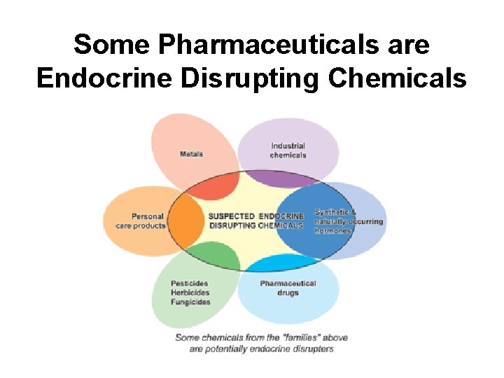 Some Pharmaceuticals are Endocrine Disrupting Chemicals 