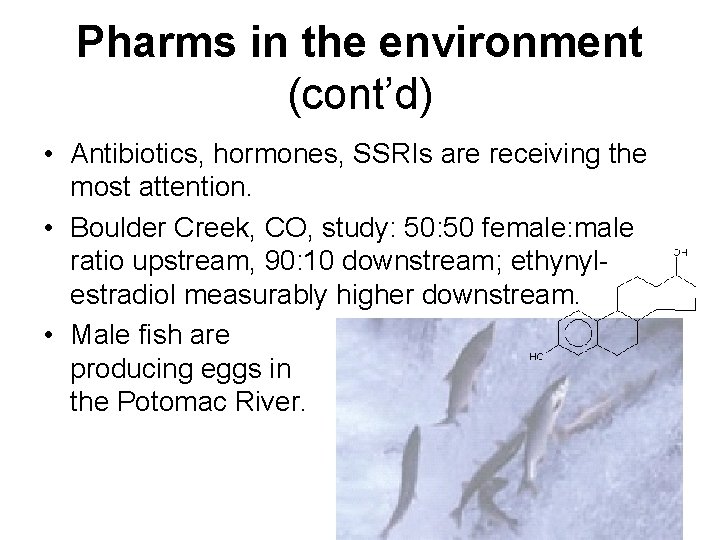 Pharms in the environment (cont’d) • Antibiotics, hormones, SSRIs are receiving the most attention.