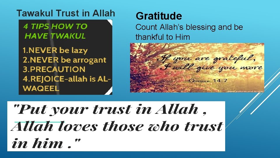 Tawakul Trust in Allah Gratitude Count Allah’s blessing and be thankful to Him 
