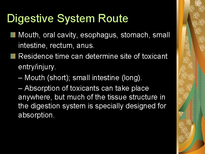 Digestive System Route Mouth, oral cavity, esophagus, stomach, small intestine, rectum, anus. Residence time