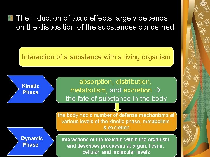 The induction of toxic effects largely depends on the disposition of the substances concerned.
