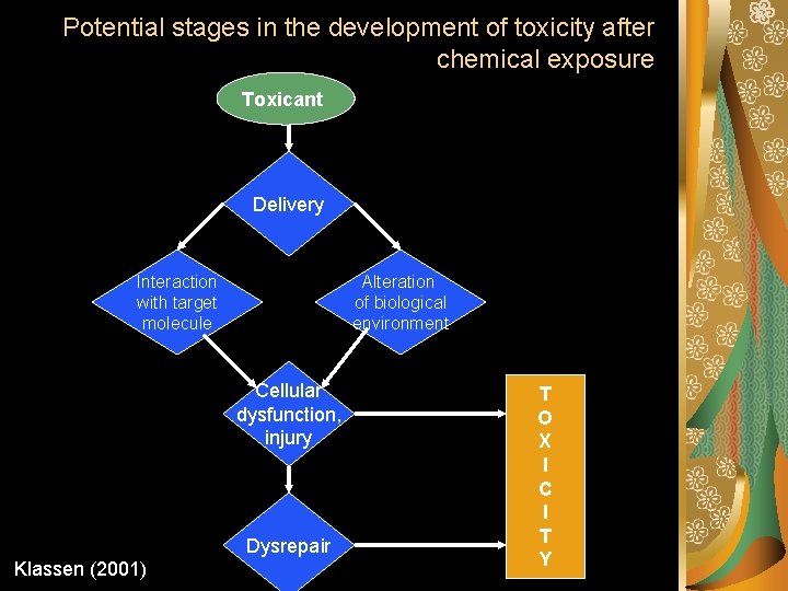 Potential stages in the development of toxicity after chemical exposure Toxicant Delivery Interaction with