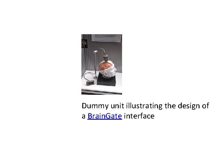 Dummy unit illustrating the design of a Brain. Gate interface 