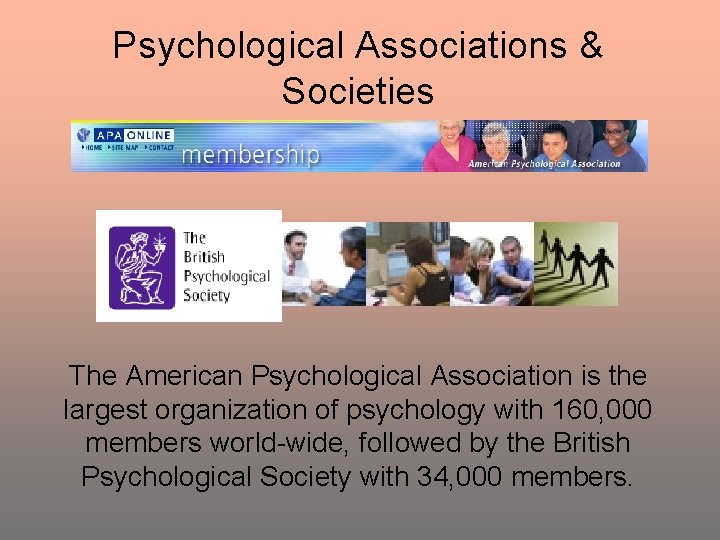 Psychological Associations & Societies The American Psychological Association is the largest organization of psychology