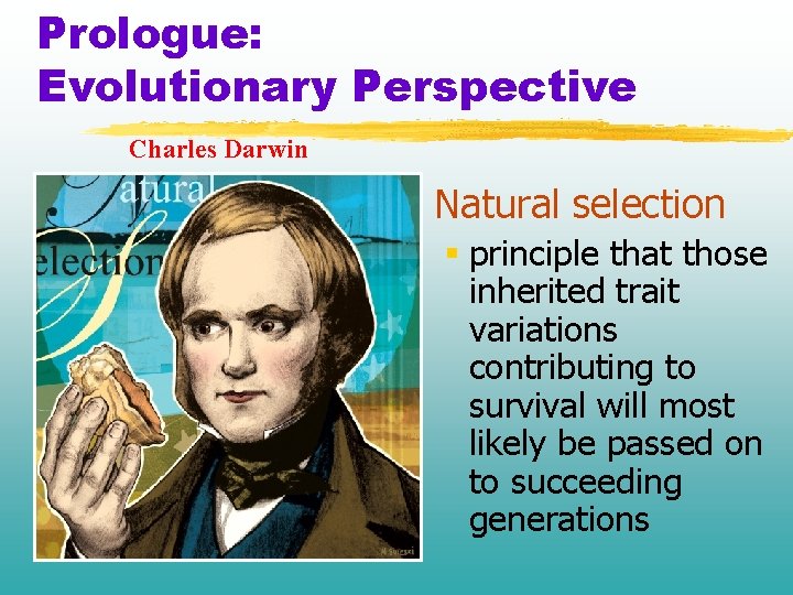 Prologue: Evolutionary Perspective Charles Darwin § Natural selection § principle that those inherited trait