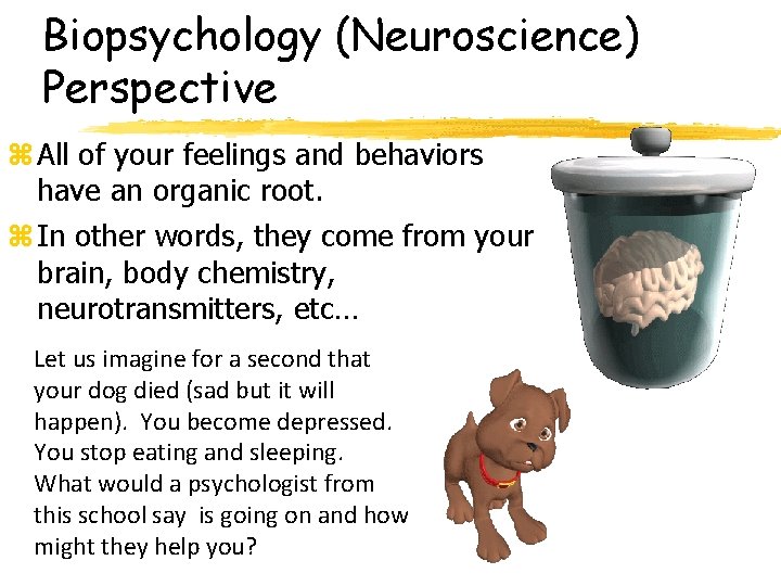 Biopsychology (Neuroscience) Perspective z All of your feelings and behaviors have an organic root.