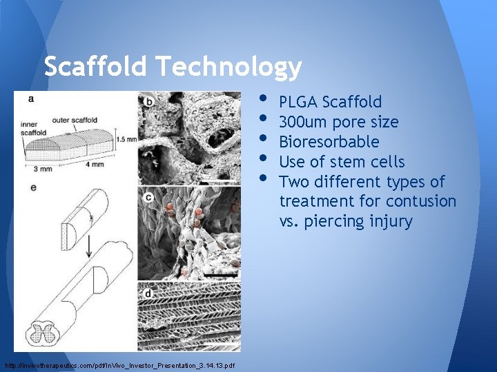 Scaffold Technology • PLGA Scaffold • 300 um pore size • Bioresorbable • Use