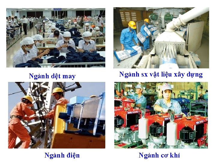 Ngành dệt may Ngành điện Ngành sx vật liệu xây dựng Ngành cơ khí