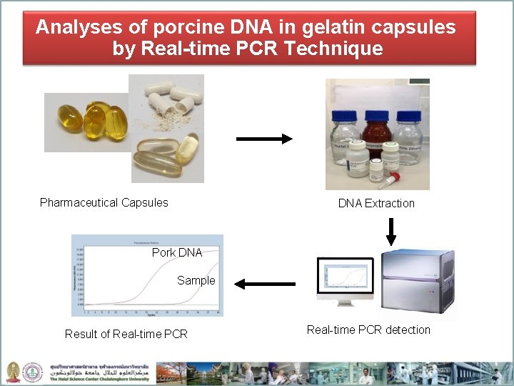 Analyses of porcine DNA in gelatin capsules by Real-time PCR Technique Pharmaceutical Capsules DNA