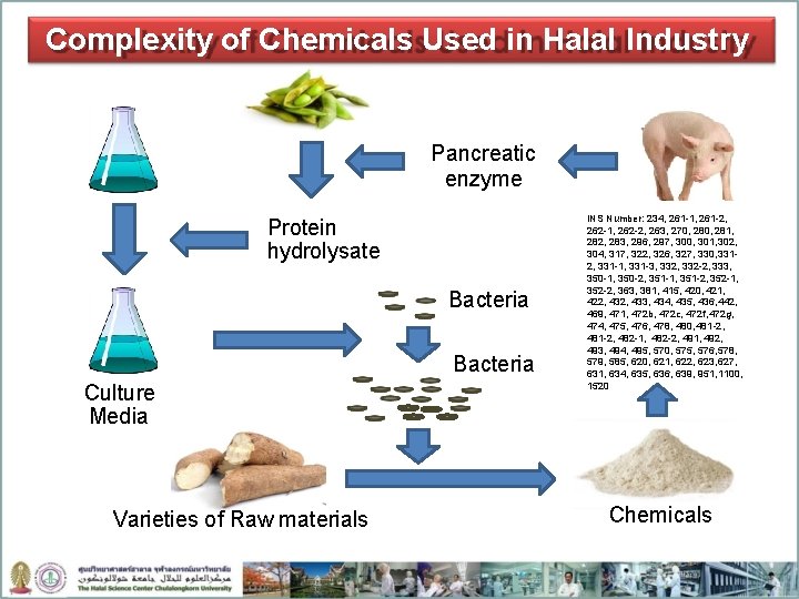 Complexity of Chemicals Used in Halal Industry Pancreatic enzyme Protein hydrolysate Bacteria Culture Media
