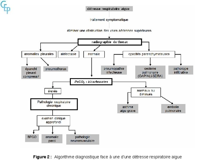 Figure 2 : Algorithme diagnostique face à une d’une détresse respiratoire aigue 